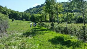 ENS Haute Vallée du Cher (Saint-Marcel-en-Marcillat)